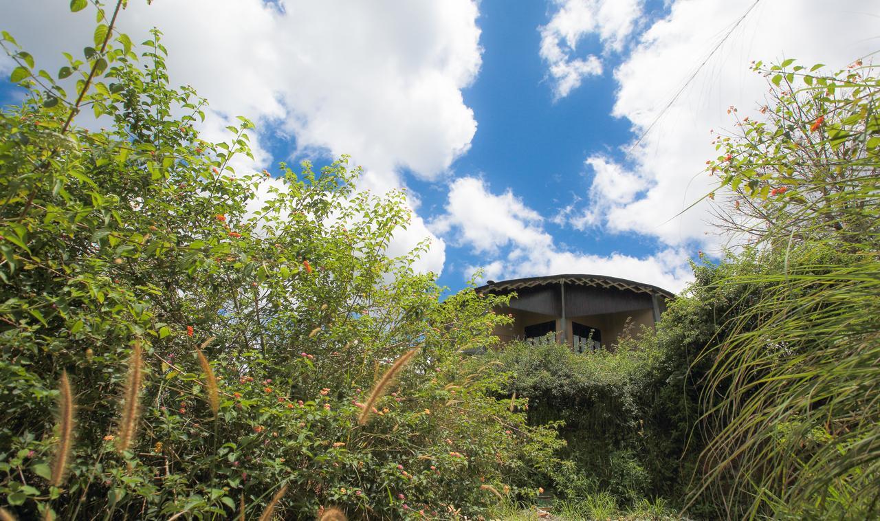 Villa Verde Ела Екстериор снимка